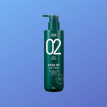 [빅딜] 아모스 02 녹차실감 샴푸 500g 지성 산뜻한타입, [빅딜] 녹차실감샴푸 500g 지성 산뜻한타입