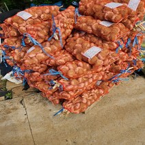 농랑부랑 2023년 햇마늘 서산마늘 태안 마늘 저장용 5kg 특품 마늘, 마늘 특품(박스) 5kg, 1개