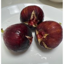 당일수확 고당도 생무화과 해남 생 햇 무화과 산지직송 햇과일 제철과일, 1개, 1kg