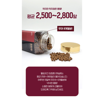 건강보조 침향환 200g, 1, 본상품선택, 본상품선택