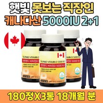 시니어 비타민D 부족증상 섭취방법 하루한알 활성형 직장인 맞춤 디 디3 D3 식약처인증 뼈 건강 정 중년 장년 중장년 30대 40대 50대 회사원 사무직 남성 남자 여성 여자