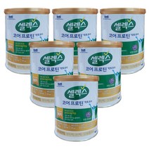 셀렉스 코어 프로틴 락토프리 304g, 6통, 6통