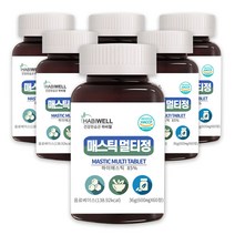 하비웰 매스틱 멀티정 600mg X 60정, 6통, 6개