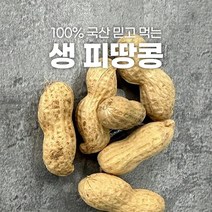 피땅콩 국산 생 땅콩 1kg 5kg 삶는법 볶는법 부럼, 자연건조 국내산 피땅콩 4kg, 1개