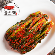 [여수돌산갓김치산지직송] 돌산 갓김치 삼채갓 맛있는 여수 전라도 김치 산지직송, 2kg