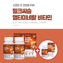 지방간 간 리버 해독 케어 건강 관리 도움 개선 에 좋은 알코올성 비알코올성 밀크씨슬 멀티 비타민 먹는 복합 영양제 중년 장년 남성 신리마린, [2+1] 9개월분