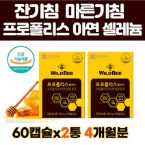 호주산 프로폴리스 60캡슐X2통 4개월분 잔기침 마른기침 간절기 면역력높이는영양제 아연 셀레늄 항산화제 정상면역에 도움 온가족 면역강화 영양제