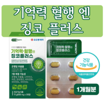 기억력 혈행엔 징코 플러스 하루한알 은행잎추출물 나이아신 아연 판토텐산 플라보노이드 기억력개선 혈행개선도움 직장인 수험생 어르신 시부모님 임산부 수유부 엄마 선물
