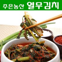 가락시장 김치전문점 주은농산 풋내없이 시원한 맛이 일품인 가정용 열무김치 (무료배송 국내제조) 10kg, 열무김치 10kg+종이박스 포장