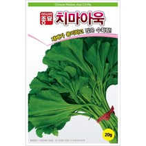 아욱씨앗 치마아욱(20g), 1개