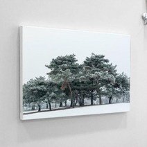 bh287-캔버스액자33.4x24.2_겨울소나무