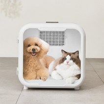 고양이 강아지 송풍기 드라이어 자동건조 온풍 냉풍 드라이기, 주총 건조함(표준형)