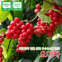 GAP 문경 세척 오미자 3kg 5kg 10kg 햇오미자 생과 / 9월 18일 부터 순차발송, 1개, 3kg(1개)