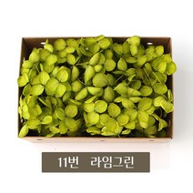 화연양화 블루밍수국 박스수국 컬러최다 30색! 프리저브드플라워, 11 라임그린