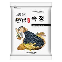 힘찬농부오달봉 2022년산 햇곡 국산 속청 검은콩 국산 서리태, 1포, 국산 속청 1kg
