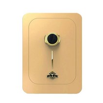 엘르시 가정용 지문인식 소형 디지털금고 ELS-600F, 골드브라운