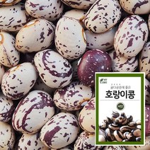 마이플랜트 호랑이콩 30g 채소 씨앗 베란다 텃밭 가꾸기
