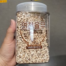 월드그린 연천율무 500g