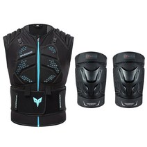 오토바이 바이크슈트 상의 하의 갑옷 조끼 moto 무릎 패드 body armor protection off-road moto 조끼 백 프로텍터 back, dh-10 dh-11 슈트, XL