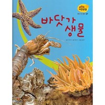 세밀화 자연관찰 37 바닷가 생물 : 물에 사는 동물, 한국헤밍웨이, 박대식 감수/최은규 글/윤공주 그림, 9791185241371
