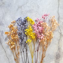 프리저브드플라워 - 컬러 안개 안개꽃, 살구빛