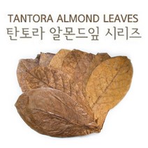 탄토라 알몬드잎 M 새우물고기 면역력강화 영양제