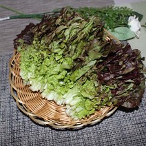 적상추 2kg1박스 자연대로팜웨이, 2kg, 1개