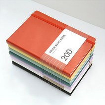 인디고 프리즘 200 밴드노트 (라인), [D8 02-004236] 라인 민트라떼