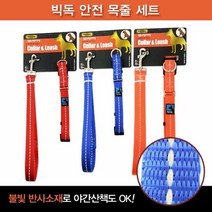 RT 강아지 외출용품 빅독 안전 목줄세트(대)20mm, 단품