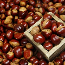 햇밤 삼조생밤 알밤 대 2kg 군밤 칼집밤 옥광밤 옵션선택, 알밤 1kg(대) 칼집없음