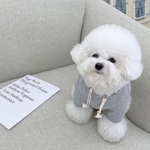 겨울 애완 동물 면화 코트 격자 무늬 코트 따뜻한 디자이너 애견의류 강아지코트 후드티 강아지외출복, XS, 그레이 스웨트셔츠