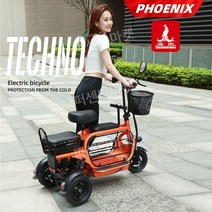 2인승 전기자전거 접이식 전동 48V 출퇴근 세발 유아동승 스쿠터 장보기용 자토바이, 800W 차동 모터 15A 리튬 배터리
