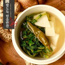 푸름농수산 국내산 갓 담근 매콤 실비김치, 10kg, 1개