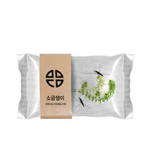다모아제이 소금쟁이 관찰 자연과학 초등교과 수서곤충, 단품