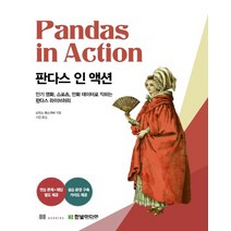 한빛미디어 판다스 인 액션, 없음