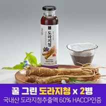 도라지청 도라지 추출액 프리미엄 국산 벌꿀 모과 농축액 함유, 400g x 2병