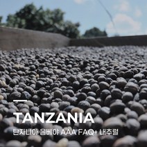 [생두] 탄자니아 음베야 AAA FAQ+ 내추럴 5kg