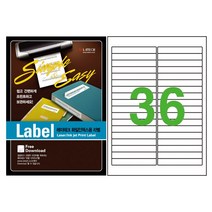 레이테크 라벨지 화일용 36칸 LTP-2138 100매 95x13.97mm, LTP-2138 (36칸), A4