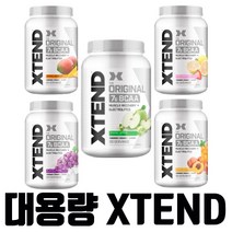 Scivation 싸이베이션 엑스텐드 오리지널 BCAA 90 서빙 1.3 kg 보충제, 1병, 1.3kg