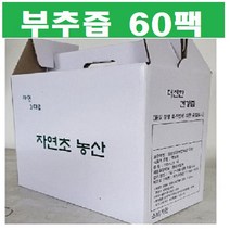 부추즙 진액 60팩(120ml) A자연 노지 부추 진액 부추100%진한그맛 자연그대로, (1형)부추즙60팩, 120ml