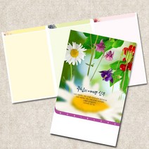 주보용지 3단 주보 교회 예배 주보인쇄 기성 디자인 칼라 청년부 주보 제작 기독교용품, EW-01