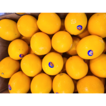 오렌지 네이블 오렌지 3kg 18kg 고당도 특1등급 가락시장 새벽배송, 오렌지 56개 18kg 내외