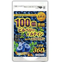 루테인 일본 직구 100배 빌베리 (약 6개월분대용량 360립) 115