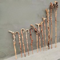 명아주지팡이 할아버지 장수 걷기보조기구 감태나무 보조기 나무, A. 제비꽃, 1개