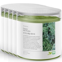 신서리티 유기농 케일가루 100g, 5개