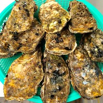 [식품의전당] 캠핑 모듬 가리비 조개구이 조개찜 조개탕 세트 밀키트 2kg 4kg 4인 5 ~ 6인용, 5.삼배체석화(4계절)만 2kg추가