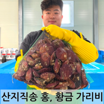 통수산 싱싱 대왕참가리비1kg, 대왕참가리비 1kg, 1개