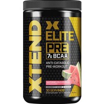 싸이베이션 BCAA 파우더 헬스 에너지 부스터 운동 전 음료 아미노산 30회 분량 수박 1팩 405g, Watermelon Explosion
