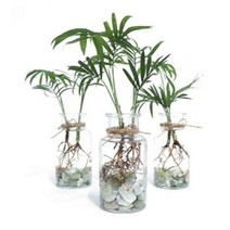 화분월드 천연 인테리어 자갈 모래 1.5KG, 옥자갈7호(1.5kg)