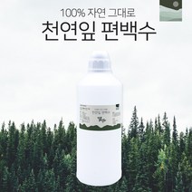 천연 잎 편백수 나무 1L 새집증후군 곰팡이 제거 탈취제, 1개
